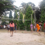 Volleyballspiel
